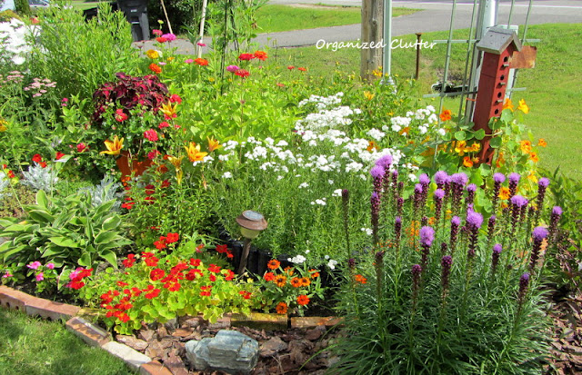 Annual, Perennial and Junk Garden