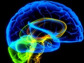 Aumentar sanguínea para el la circulación cerebro en ejercicio