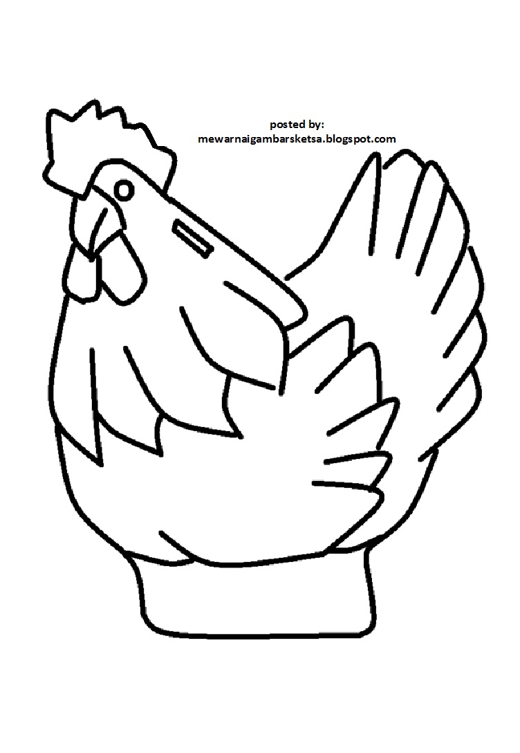 +110 Gambar Sketsa Ayam | Gudangsket