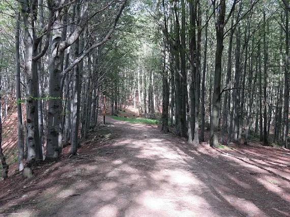 Przełęcz Bukowina bukowina