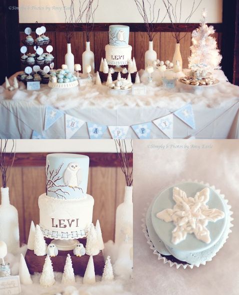 43 dashing diy boy first birthday themes