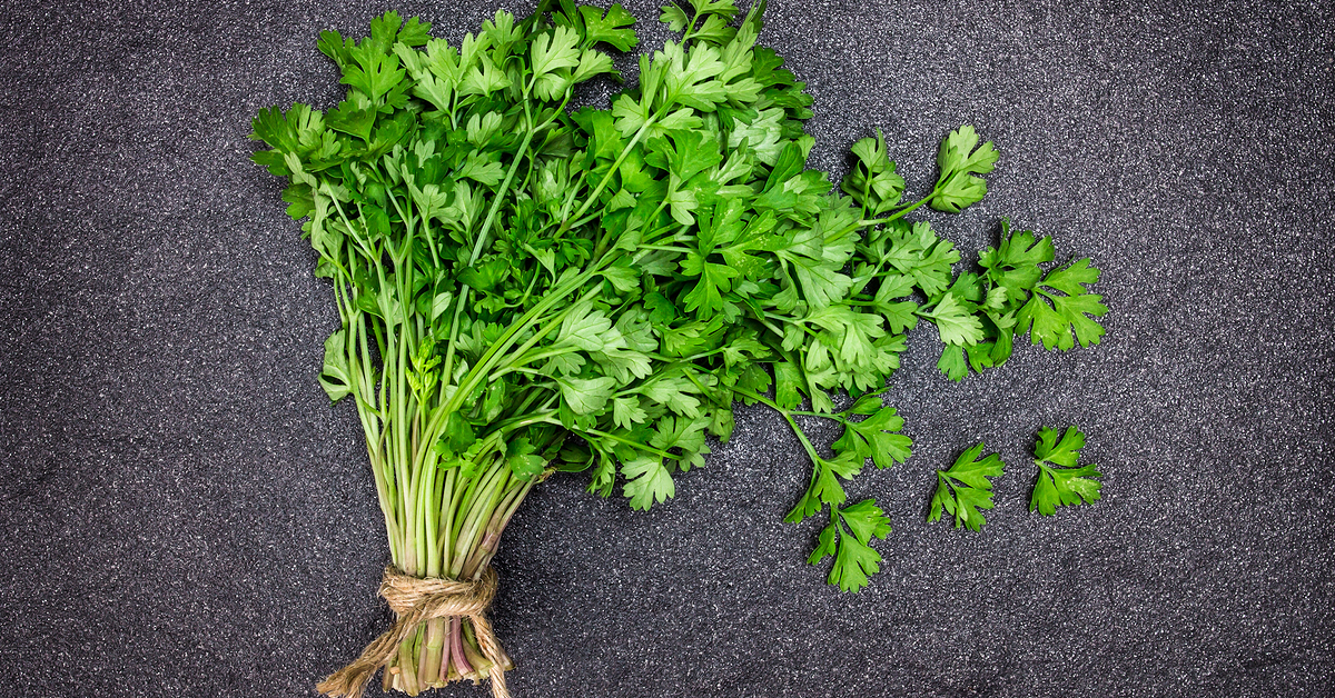 The Life Extension Blog Apigenin Another Reason to Go Green