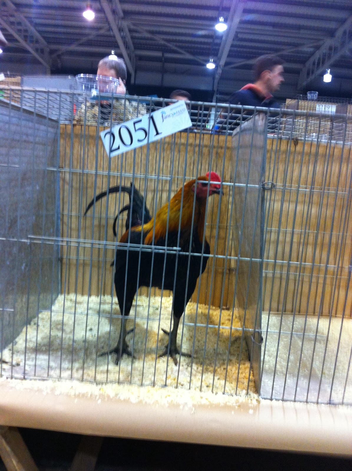 Smallholding Pleasure or Profit The Poultry Club of Great Britain