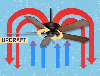 The Antisocial Network Circulating Warm Air For The Clueless