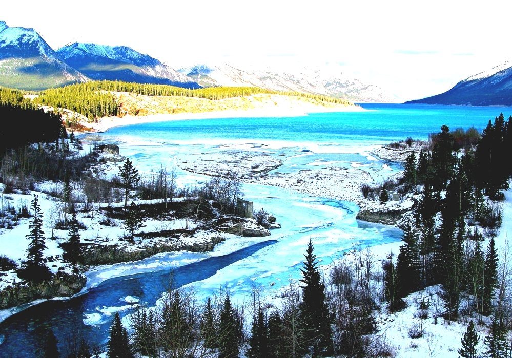 WikipediaPublic Domain Image Resources Google Public Domain Images