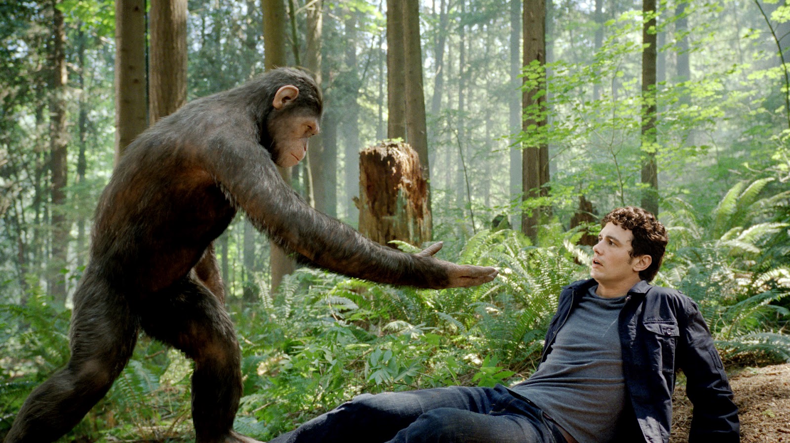 EL GREMIO DE CREADORES DE EFECTOS VISUALES PREMIA A "RISE