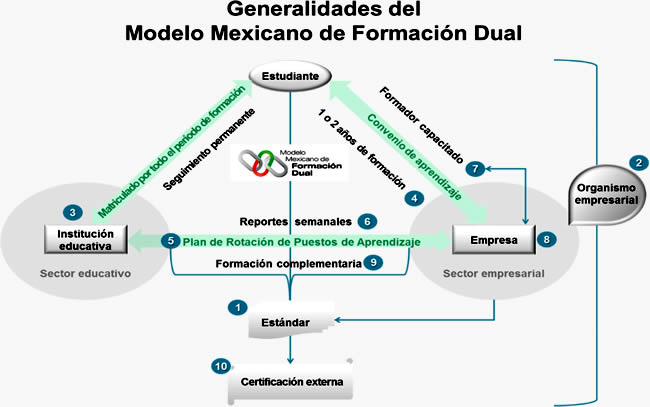 Observatorio Social y Económico de México: Modelo Mexicano de Formación Dual  de Educación Media Superior y del Tecnológico Nacional de México TecNM dic  2016