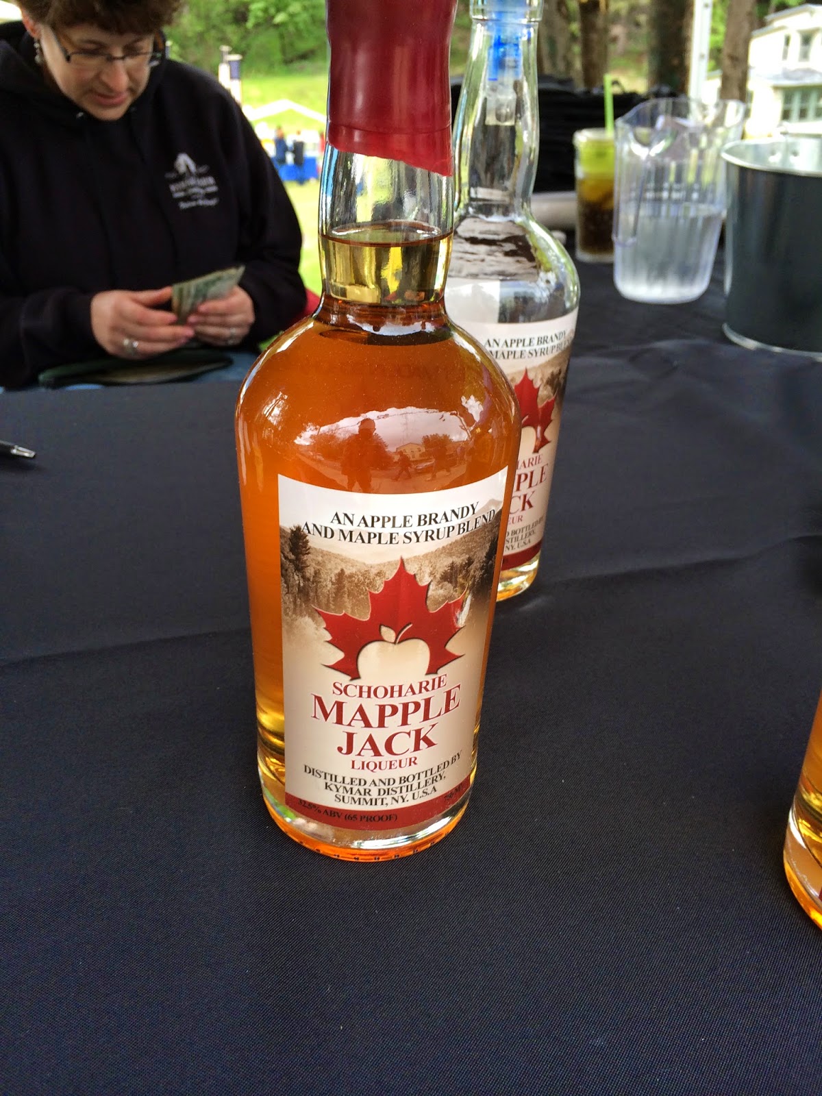 Historic US Route 20 Day 3 Sharon Springs, NY