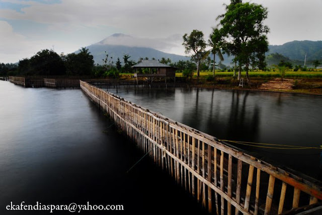 Sudut-sudut Lumbok Seminung Ranau | Bumi Al-Liwa Aspara