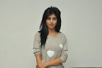 Shamili at Swach Hyd Cricket Match press meet-thumbnail-cover