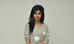 Shamili at Swach Hyd Cricket Match press meet
