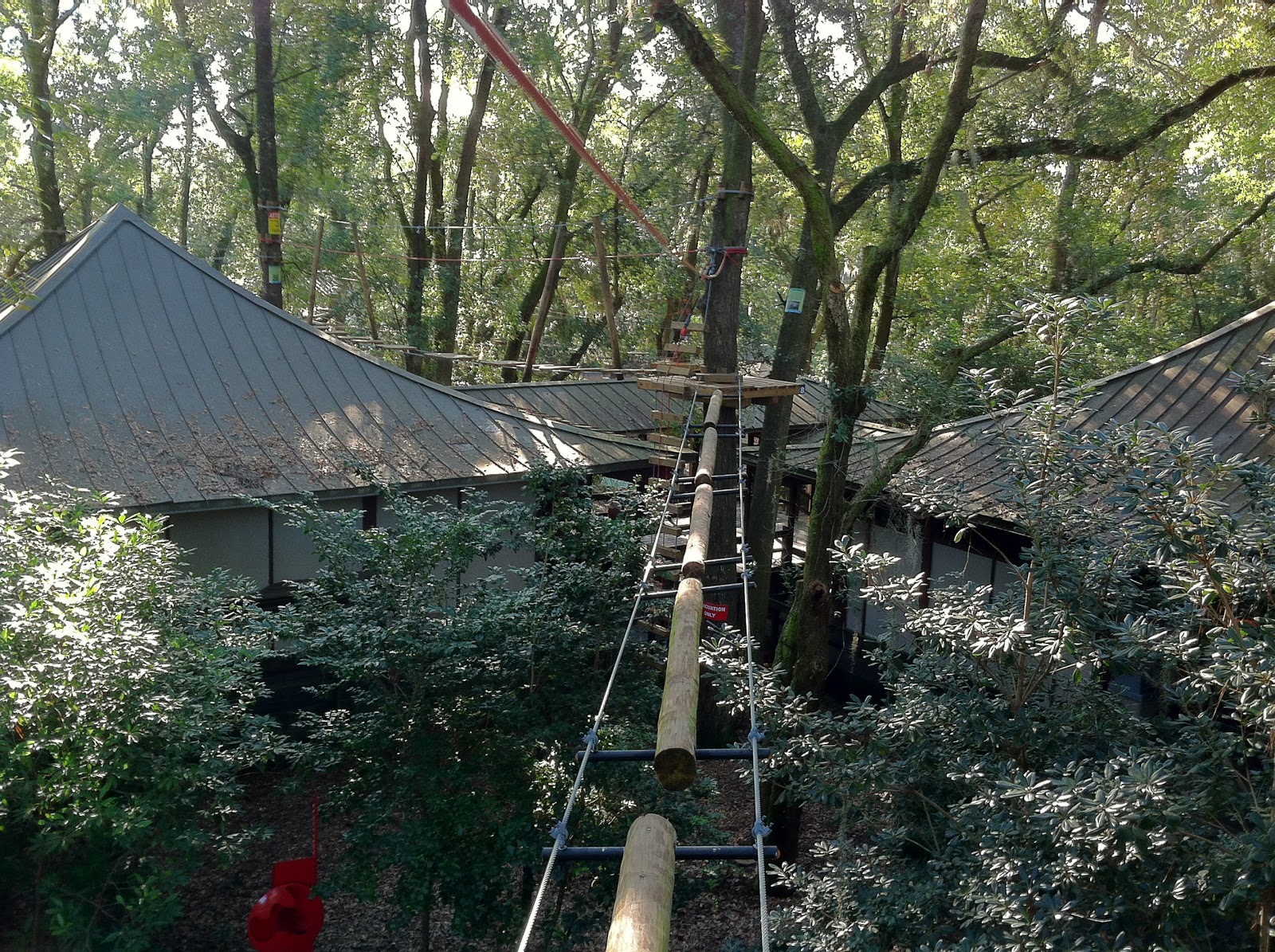 The TreetoTree Adventure at Tallahassee Museum The World of Deej