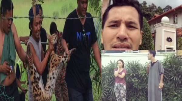 Kucing Dodi Kesayangan Aliff Syukri Telah Dijumpai Tapi Ini Nasib Dodi Ketika Ditemui Pihak Bomba