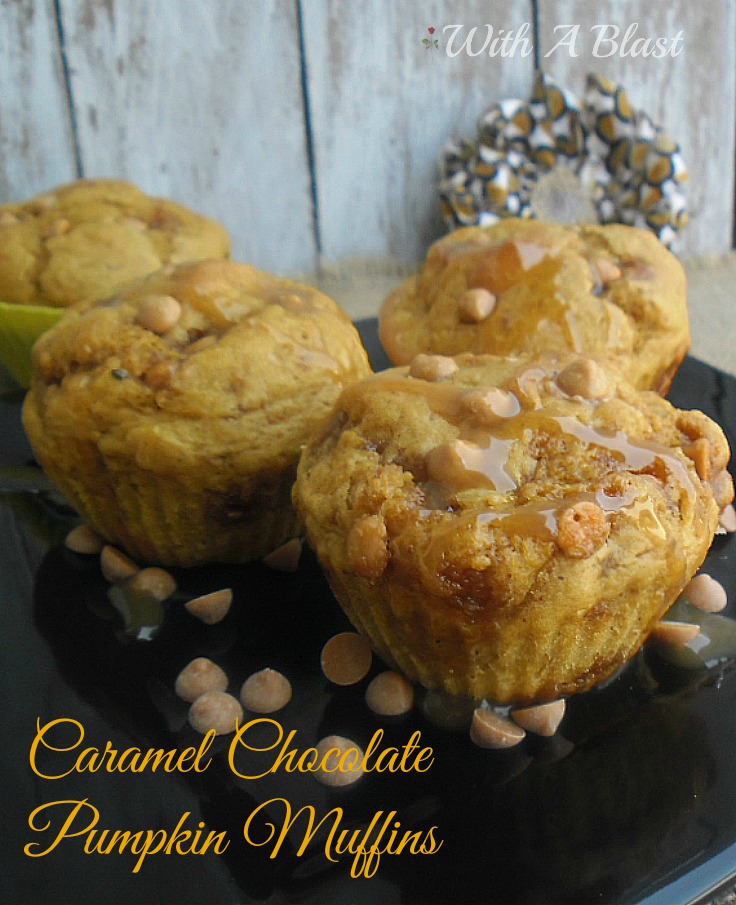 Caramel Chocolate Pumpkin Muffins is deliciously moist, packed with Pumpkin, Chocolate Chips with a Caramel drizzle ~ perfect for breakfast, tea time, a snack or lunchbox