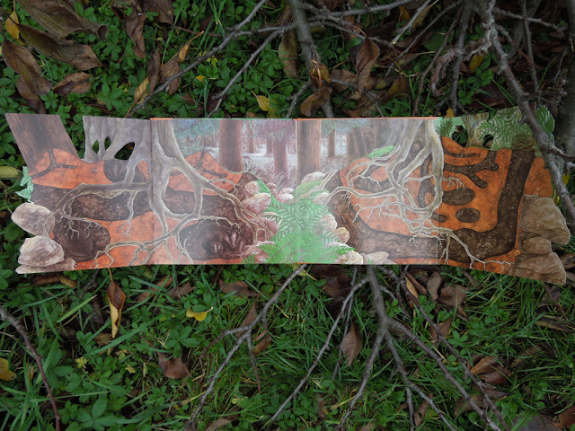 schovavana v prirode lesy a haje