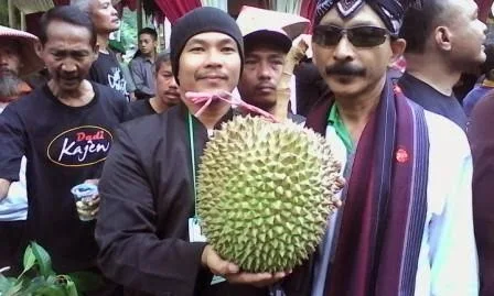 Ini Durian Cincin Terbesar Dan Termahal Menurut Hasil Kontes