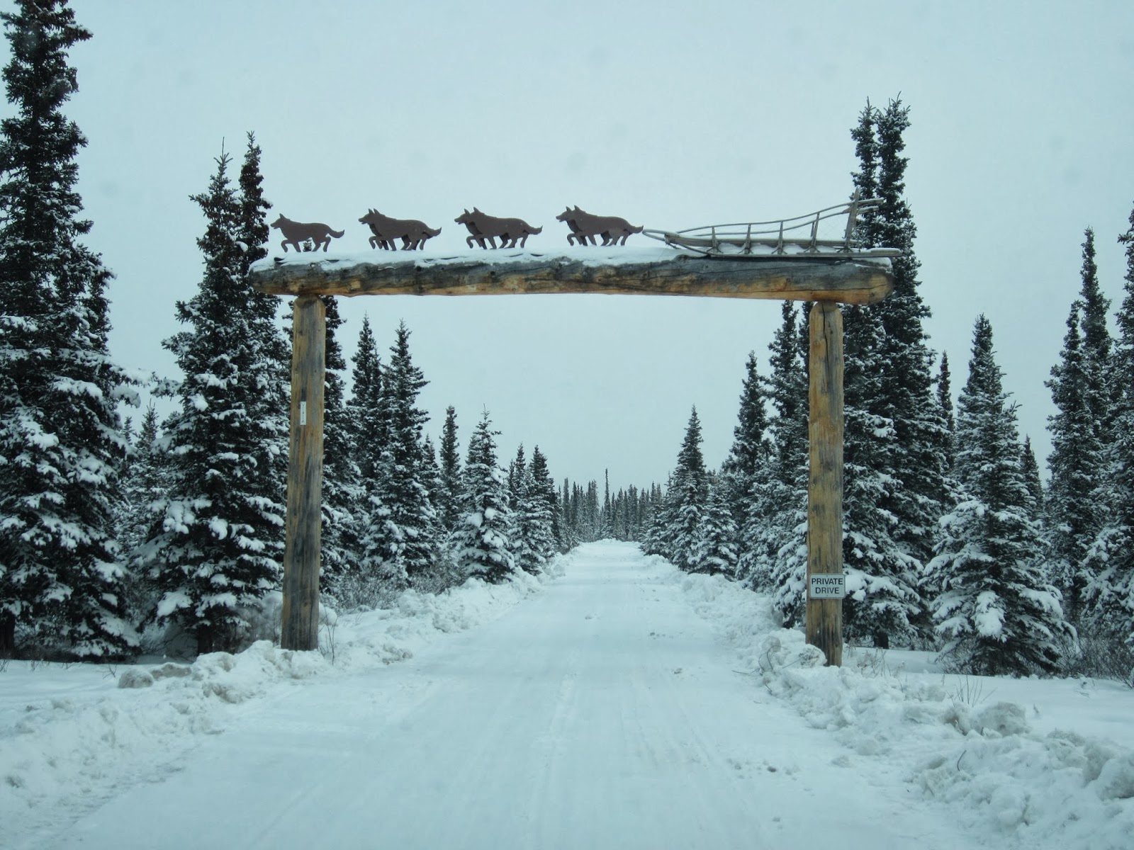 Sophie in Alaska (Iditarod 2014) Jeff King Kennels & the beautiful