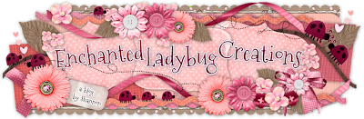 Enchanted Ladybug Creations