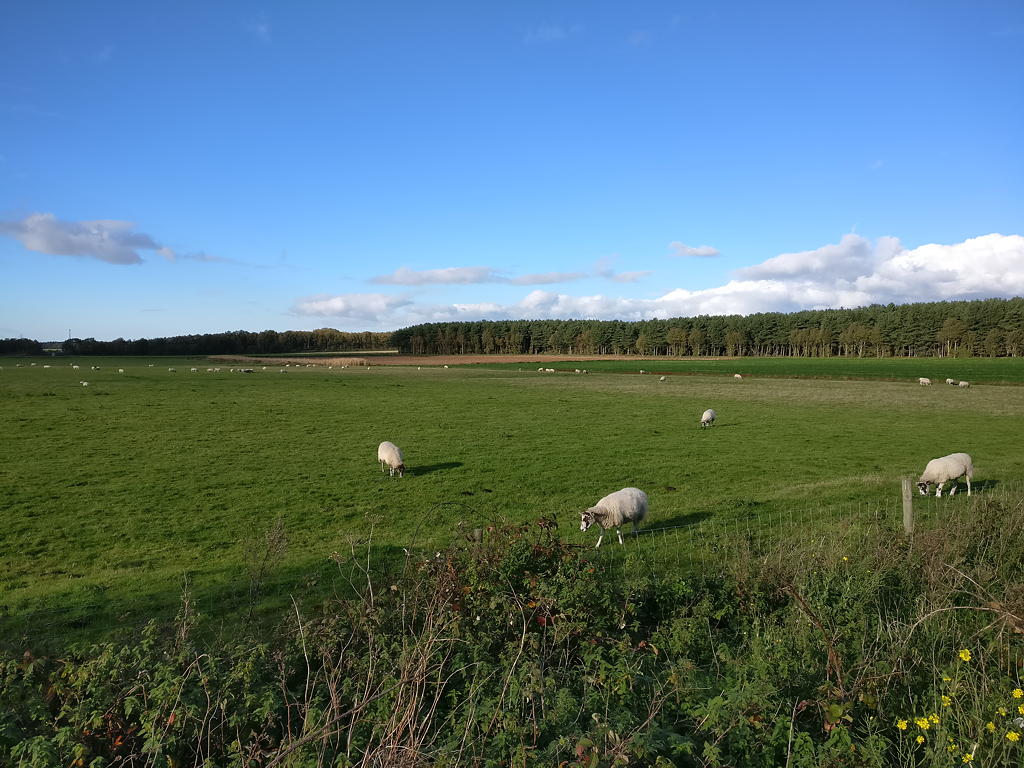 Cycling 200 miles a month October 2018