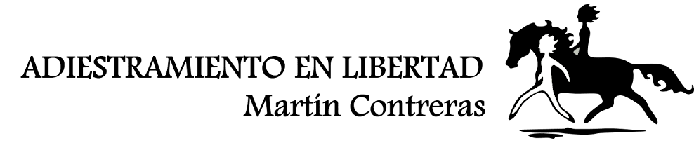 MARTÍN CONTRERAS HORSEMANSHIP