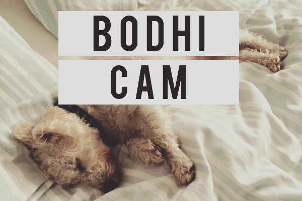 Bodhi Cam