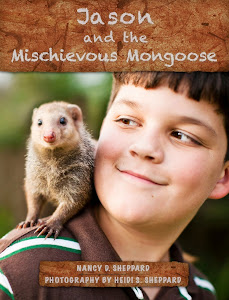 Jason and the Mischievous Mongoose - iPad edition