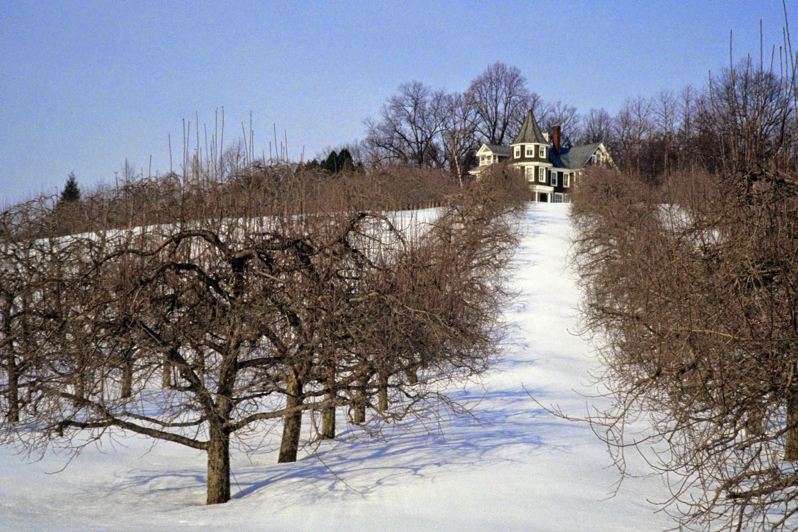 Geographically Yours Biglerville, Pennsylvania, USA