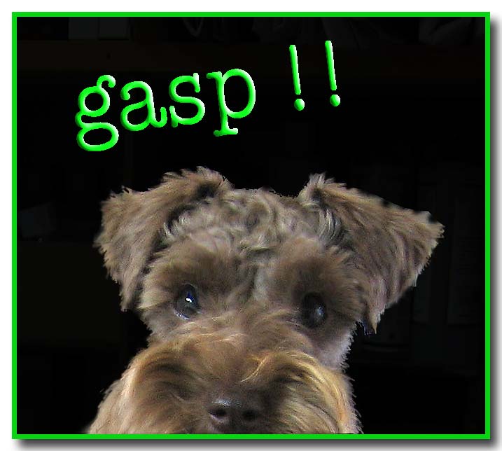 Loretta's Journey All About Stevia