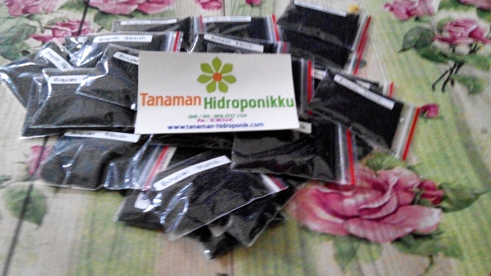 tanaman hidroponik tanaman hidroponik