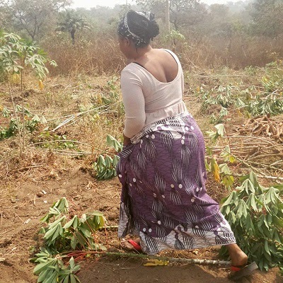 halima abubakar farming