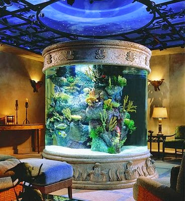 Macam Akuarium Ikan Hias Akuarium Ikan Hias