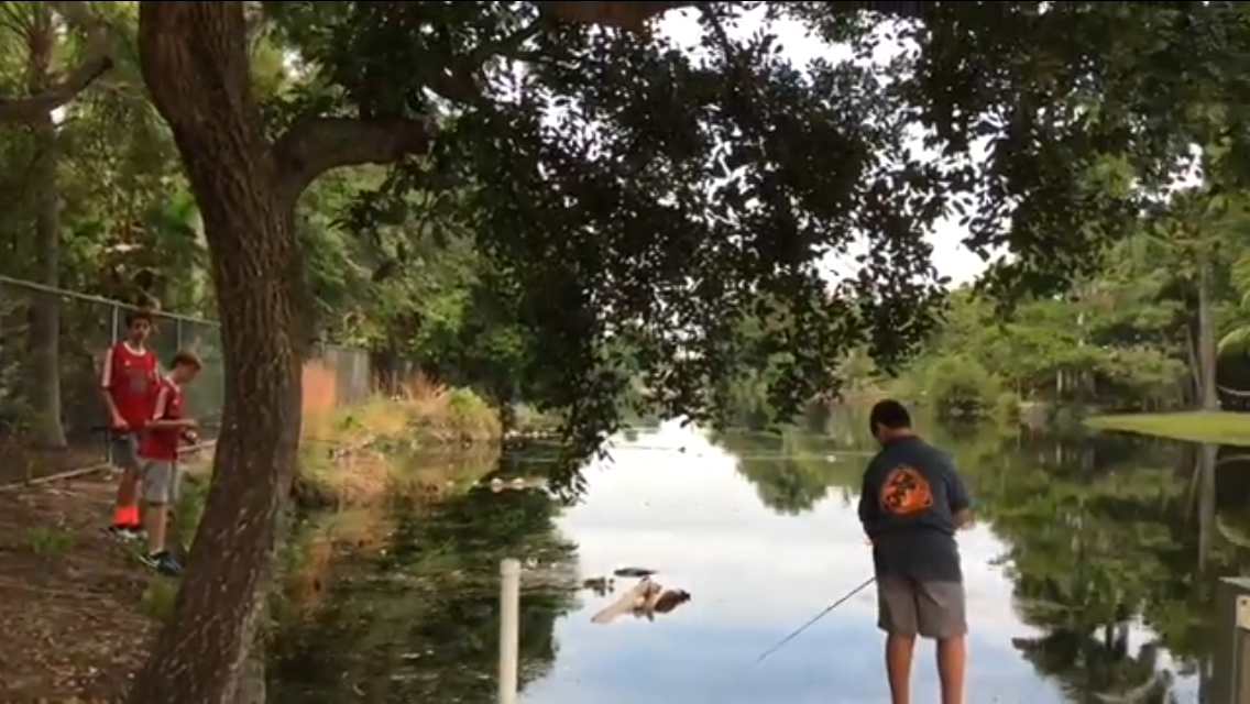 JOSH GOES FISHING South Florida Canal Fishing