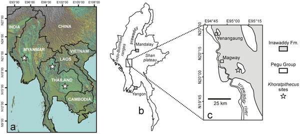 Species New to Science [Palaeontology • 2011] Khoratpithecus