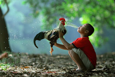 Photoworks by Asit
