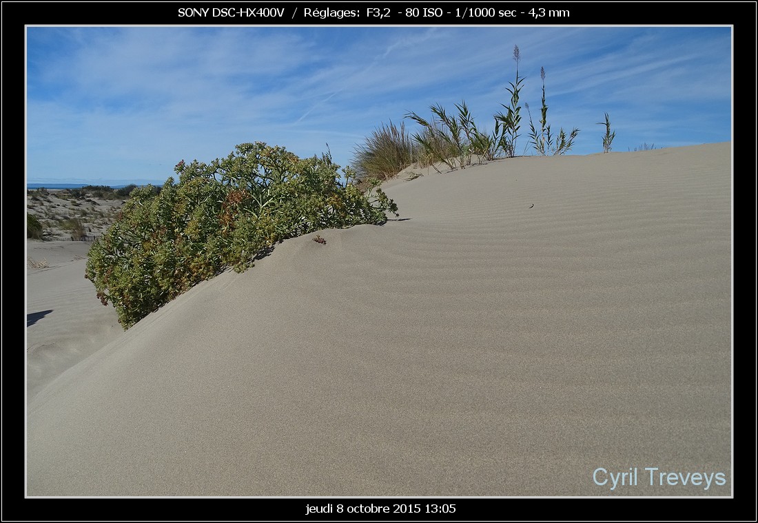 Plage de lEspiguette Port Camargue 30 Gard Languedoc Plages tv