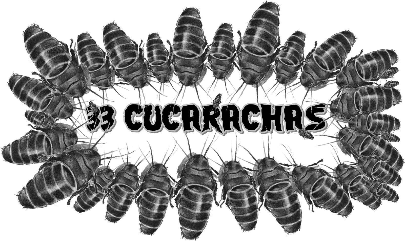 33 CUCARACHAS