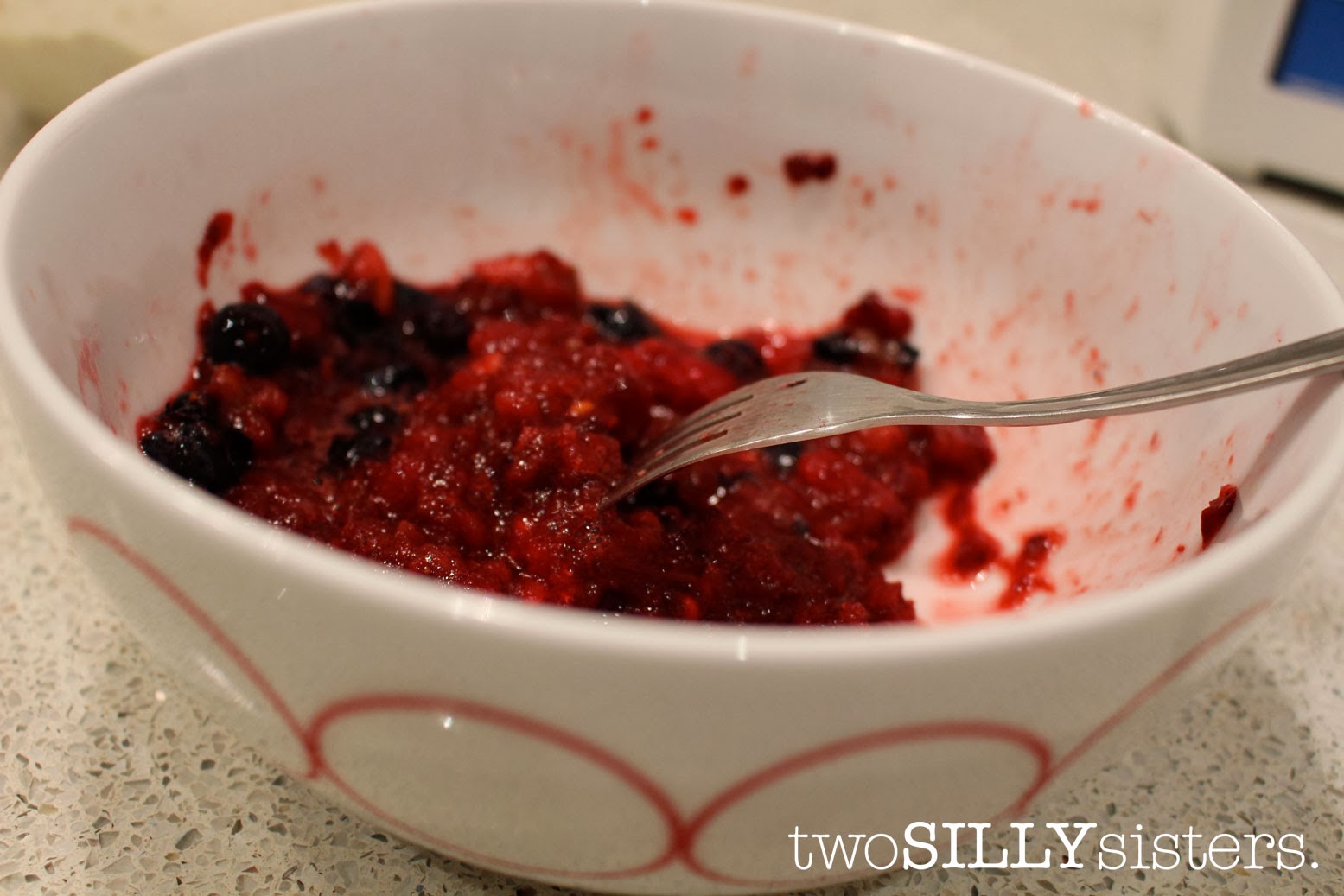 Two Silly Sisters 1,000 Likes And A Gluten Free IceCream Recipe!