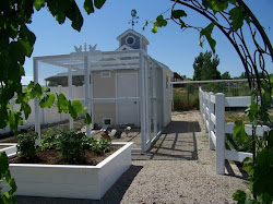 chicken coop fancy chickens coops backyard coup interior headed inside runs unusual cute interiors ab martha stewart building gatesinteriordesign hanburyhouse