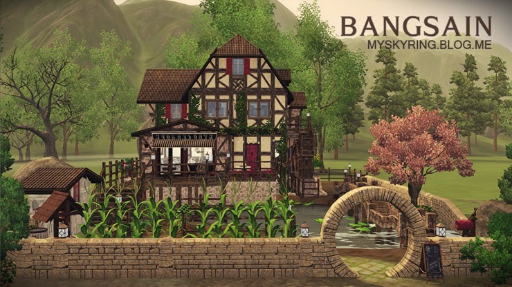 Sims homework picture