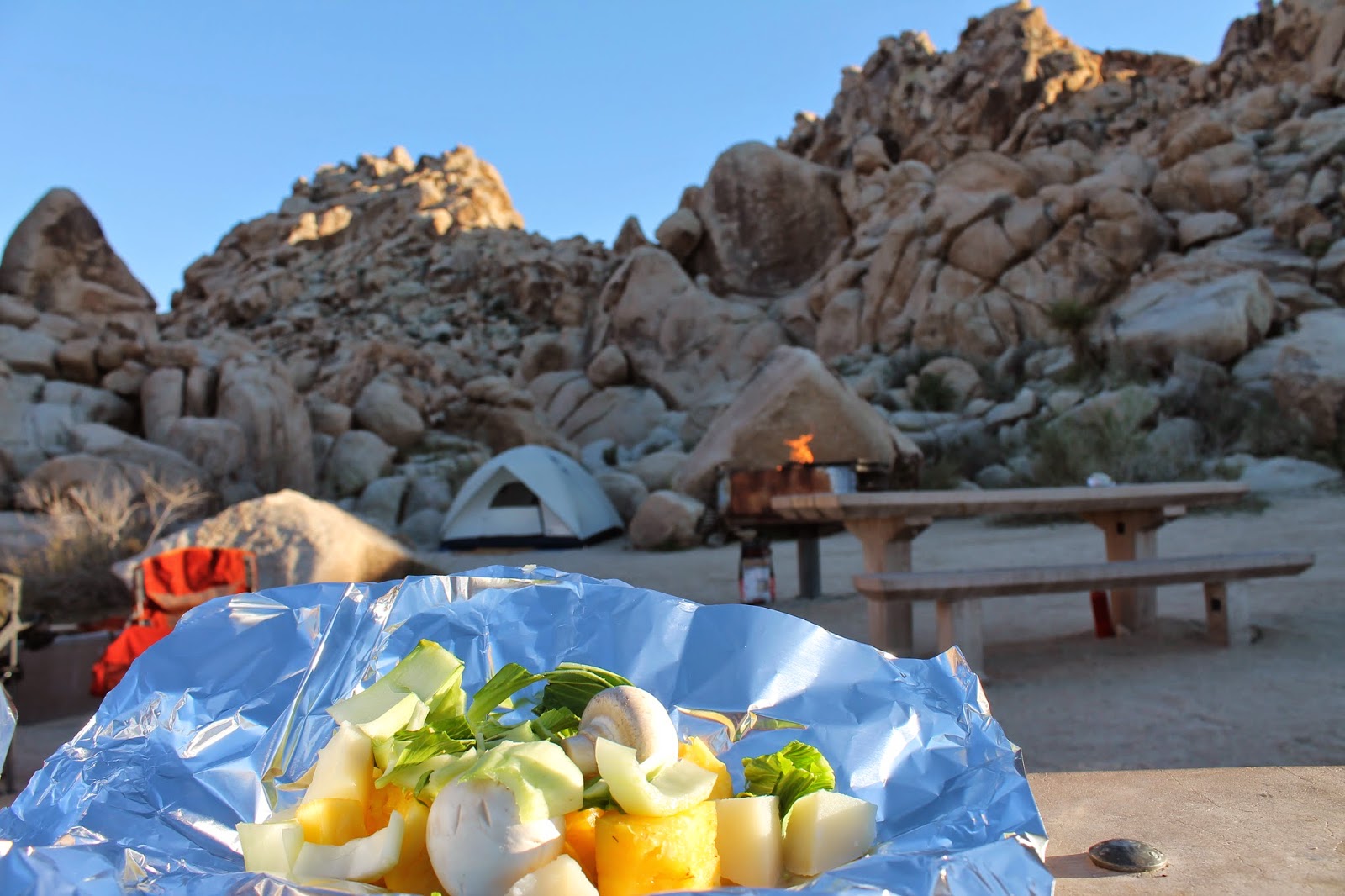 Paleo Camping Recipes Breakfast, Lunch, Dinner, and Dessert