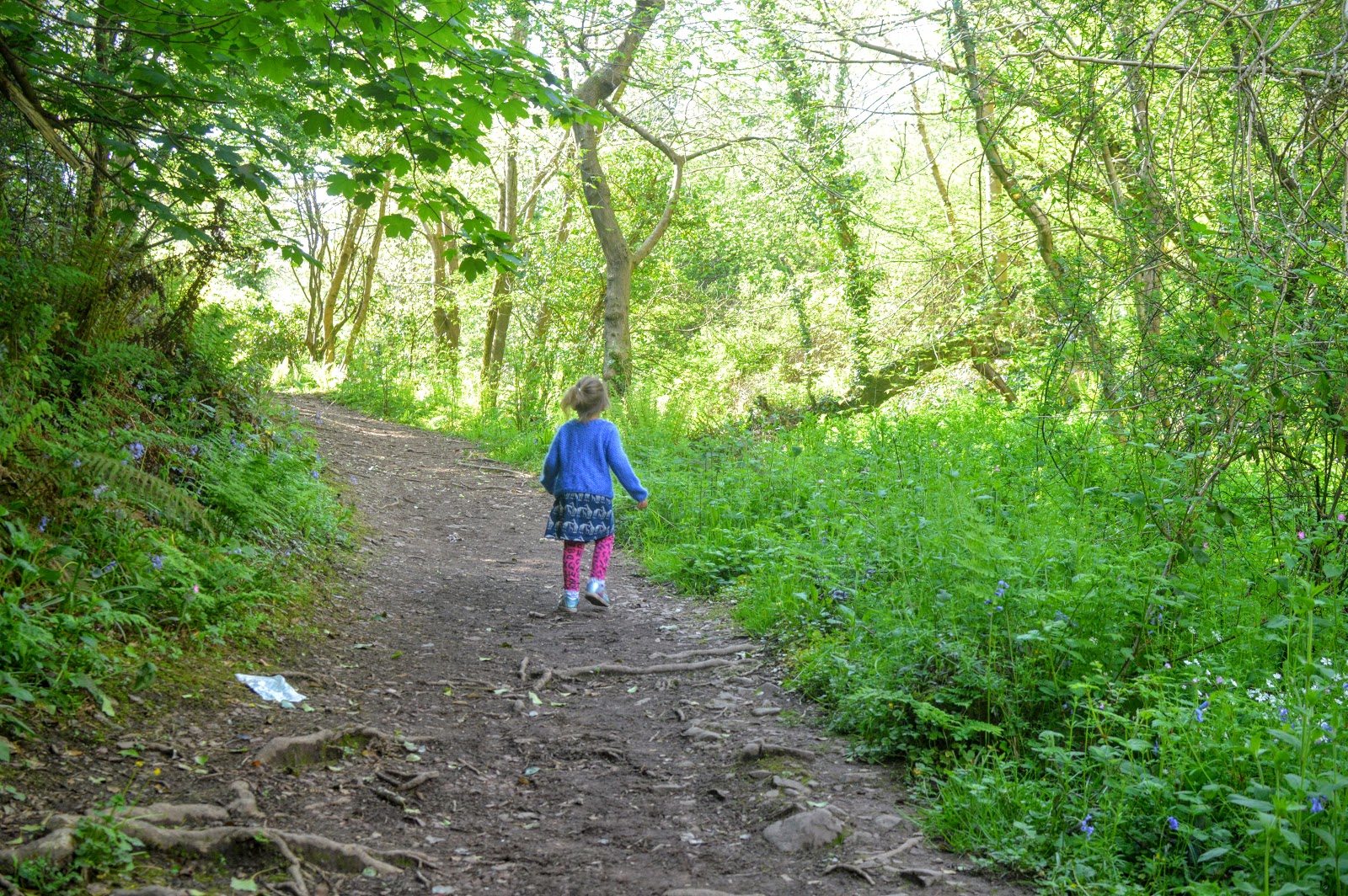 Castle Pill Woods, Milford Haven, Pembrokeshire countrykids Diary of