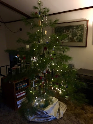 our "Charlie Brown" Christmas tree our "Charlie Brown" Christmas tree