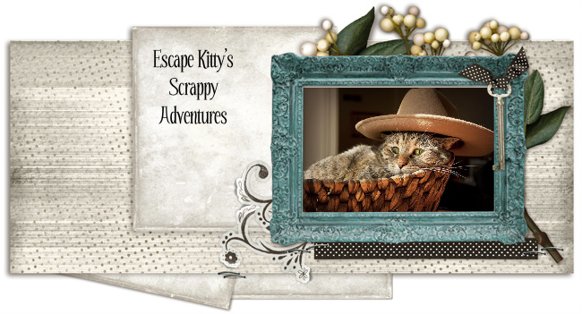 Escape Kitty's Scrappy Adventures