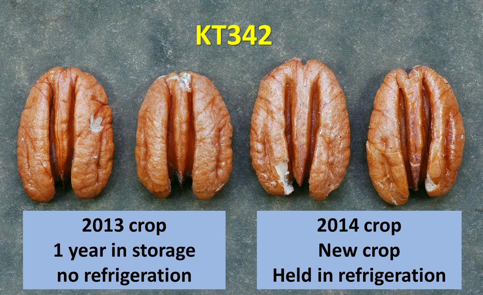 Northern Pecans Kernel color changes over time