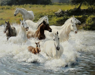 Cuadros- De Caballos Salvajes