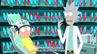 Ver Rick and Morty Temporada 3 - Capítulo 8