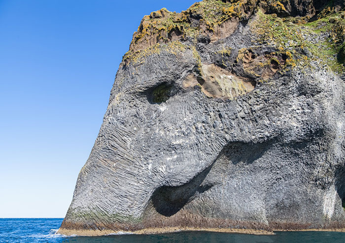 Giant Sea Elephant Emerges From The Ocean In Iceland