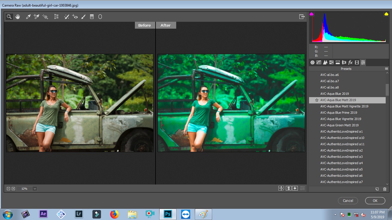 download adobe camera raw presets free