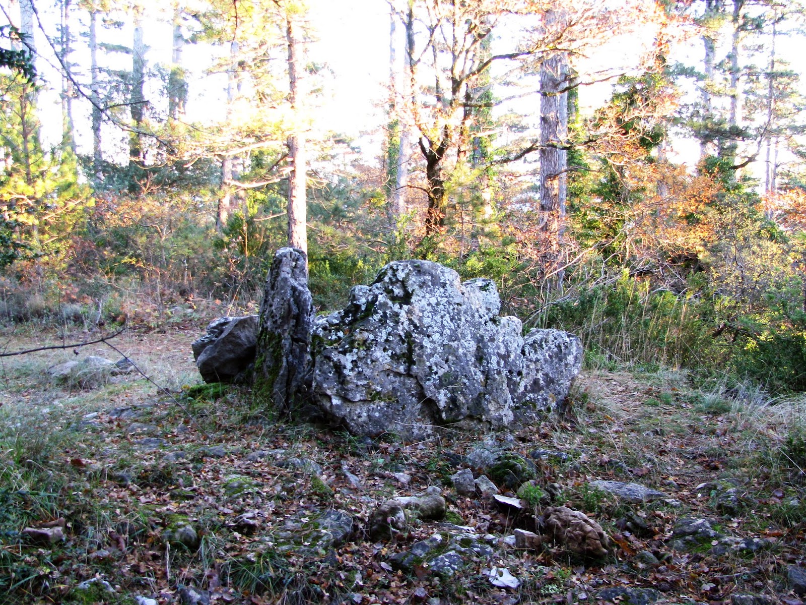 Les dolmens du bois des coutelles (Soubès, Hérault)