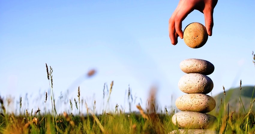 Jardín de los Cinco Sauces CONCLUSIÓN ANUAL